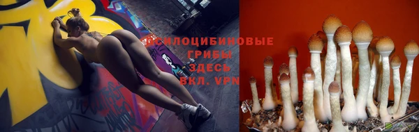 прущая мука Беломорск