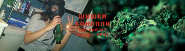 стафф Белокуриха