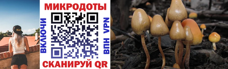 наркота Пестово Галлюциногенные грибы ЛСД
